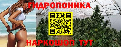 PSILOCYBIN Свободный