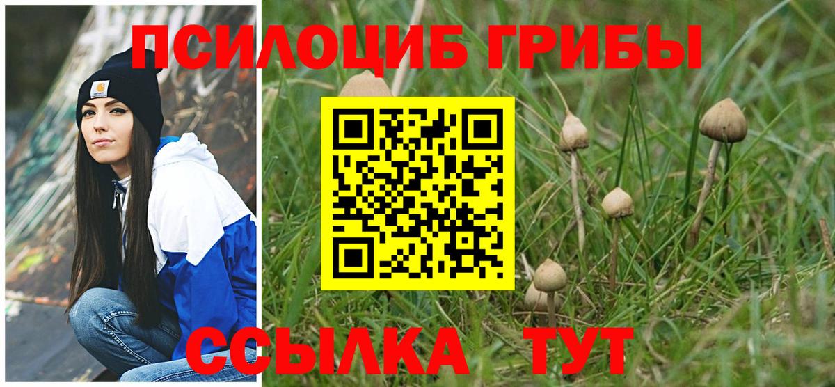 закладки  Галлюциногенные грибы MAGIC MUSHROOMS  Вход с VPN  Можайск 