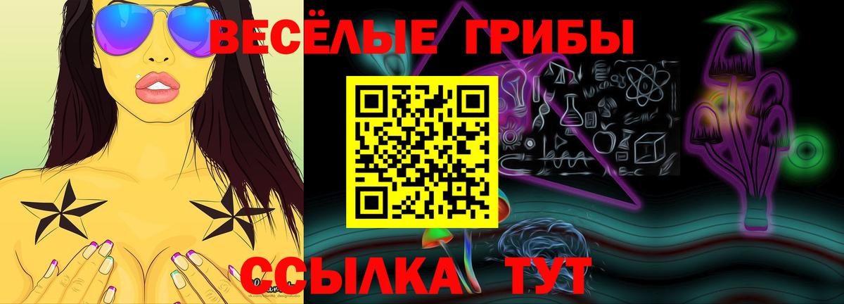 Галлюциногенные грибы мухоморы Можайск
